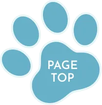 ボタン ページTOPへ戻る